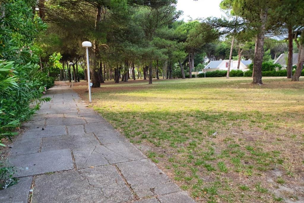Studio Cabines 6 Couchages 150 M De La Plage Et A Quelques Secondes Des Commerces Wifi Gratuit Λα Γκραντ-Μοτ Εξωτερικό φωτογραφία