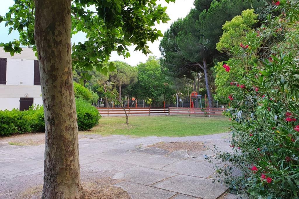 Studio Cabines 6 Couchages 150 M De La Plage Et A Quelques Secondes Des Commerces Wifi Gratuit Λα Γκραντ-Μοτ Εξωτερικό φωτογραφία